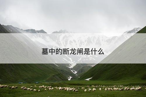 墓中的断龙闸是什么-图1 墓中的断龙闸是什么-图1