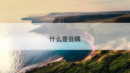 什么是自耦-图1 什么是自耦-图1