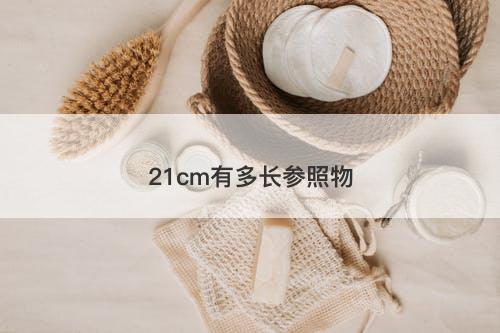 21cm有多长参照物-图1