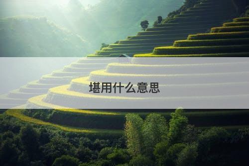 堪用什么意思-图1
