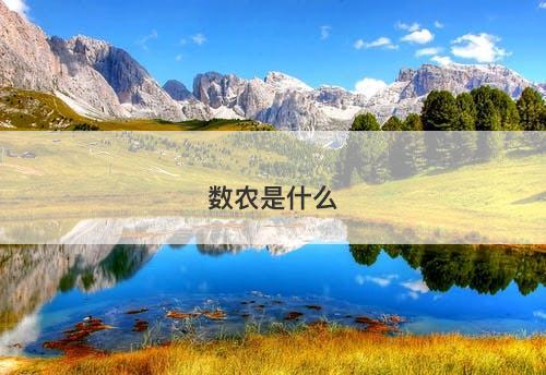 数农是什么-图1