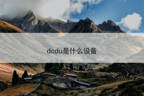 dcdu是什么设备-图1