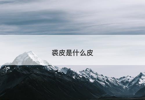 裘皮是什么皮