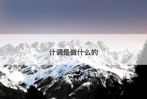 计调是做什么的