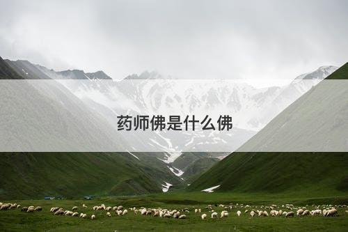 药师佛是什么佛