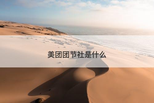 美团团节社是什么