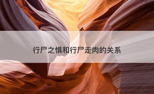 行尸之惧和行尸走肉的关系-图1