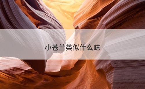 小苍兰类似什么味-图1