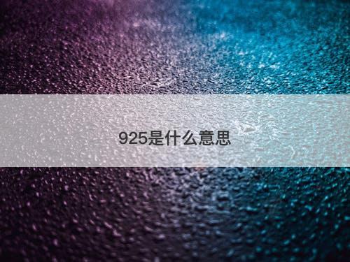 925是什么意思-图1