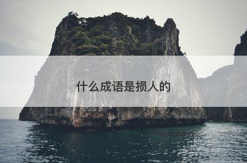 什么成语是损人的-图1