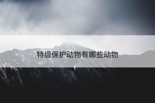 特级保护动物有哪些动物-图1
