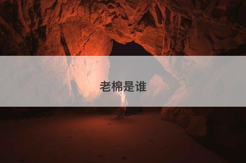 老棉是谁-图1