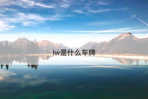lw是什么车牌-图1