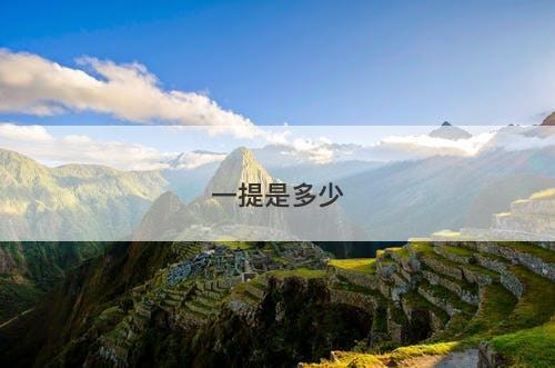 一提是多少-图1