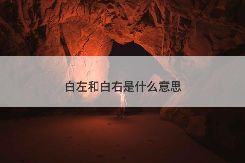 白左和白右是什么意思-图1