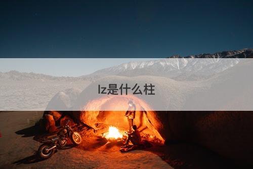 lz是什么柱-图1