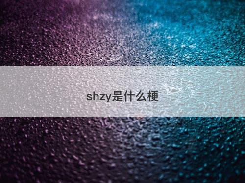 shzy是什么梗-图1 shzy是什么梗-图1