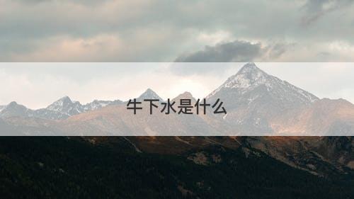 牛下水是什么-图1 牛下水是什么-图1