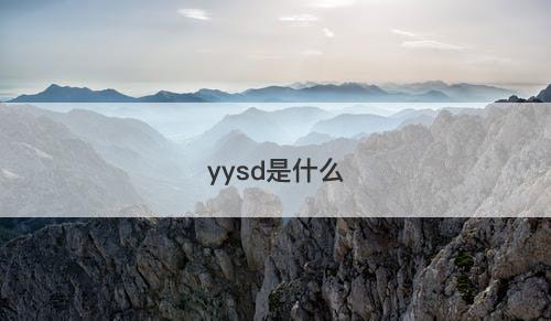 yysd是什么-图1