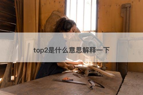 top2是什么意思解释一下-图1 top2是什么意思解释一下-图1