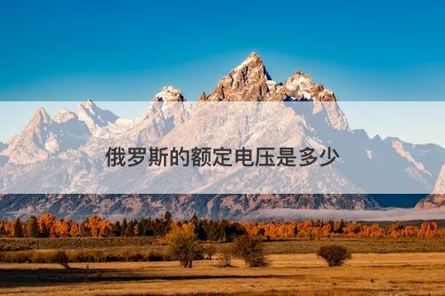 俄罗斯的额定电压是多少-图1 俄罗斯的额定电压是多少-图1