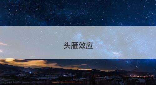 头雁效应-图1 头雁效应-图1