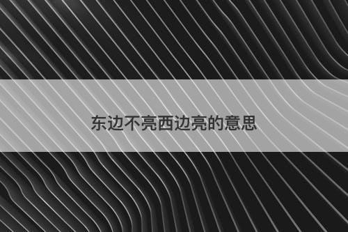 东边不亮西边亮的意思-图1