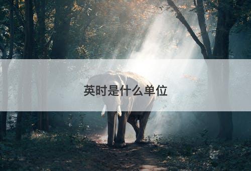 英时是什么单位-图1
