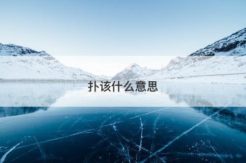 扑该什么意思-图1 扑该什么意思-图1