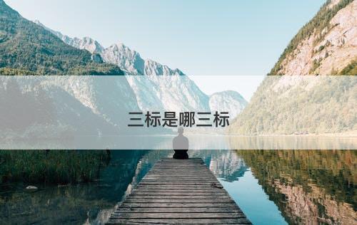 三标是哪三标-图1