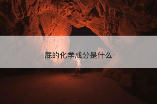 屁的化学成分是什么-图1 屁的化学成分是什么-图1