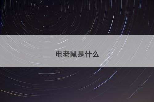 电老鼠是什么-图1