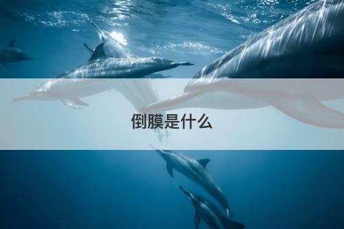 倒膜是什么-图1