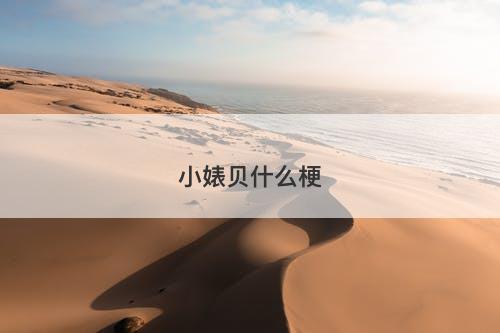 小婊贝什么梗-图1 小婊贝什么梗-图1