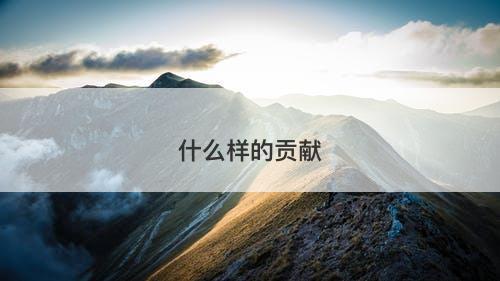 什么样的贡献-图1 什么样的贡献-图1