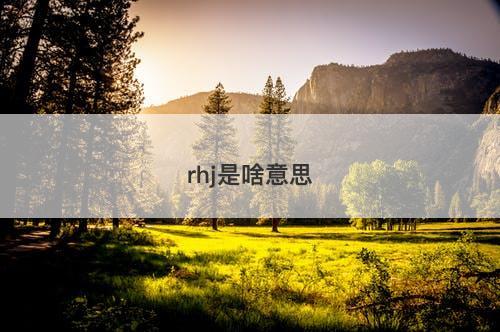 rhj是啥意思-图1 rhj是啥意思-图1