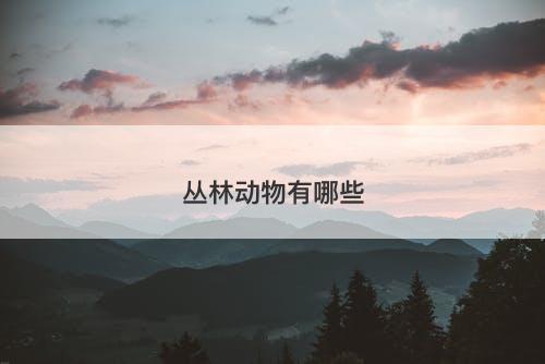丛林动物有哪些-图1
