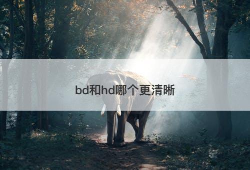 bd和hd哪个更清晰-图1