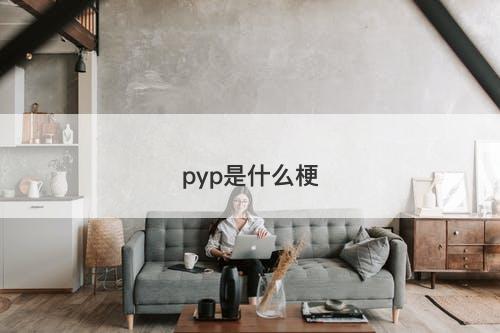 pyp是什么梗-图1