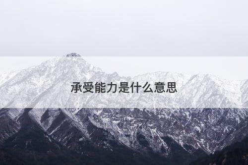 承受能力是什么意思-图1