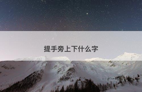 提手旁上下什么字-图1