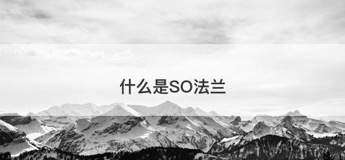 什么是SO法兰-图1