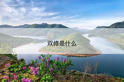 双修是什么-图1