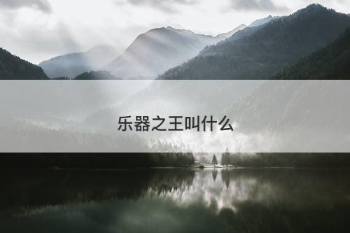 乐器之王叫什么-图1