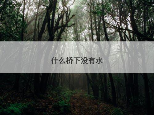 什么桥下没有水-图1