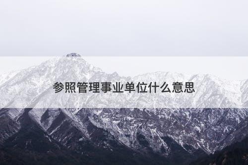 参照管理事业单位什么意思-图1