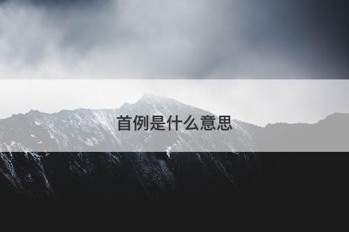 首例是什么意思-图1