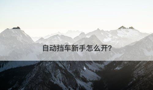 自动挡车新手怎么开?-图1 自动挡车新手怎么开?-图1