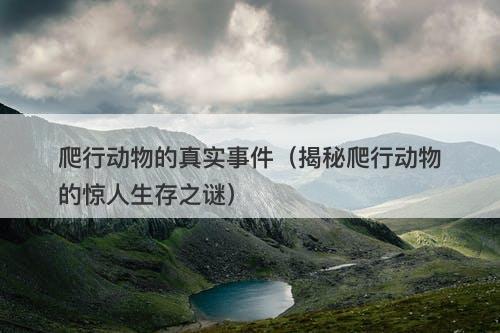 爬行动物的真实事件（揭秘爬行动物的惊人生存之谜）-图1