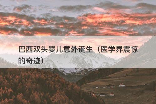 巴西双头婴儿意外诞生（医学界震惊的奇迹）-图1